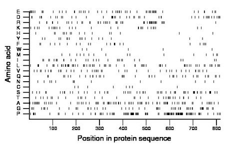 amino acid map