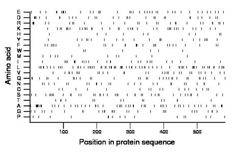 amino acid map