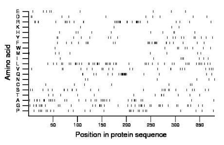 amino acid map