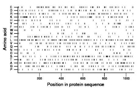 amino acid map