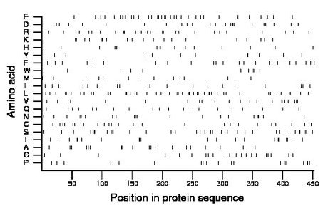 amino acid map