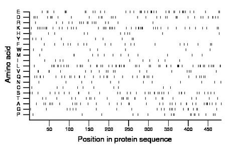 amino acid map