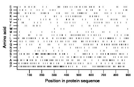 amino acid map