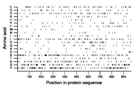 amino acid map