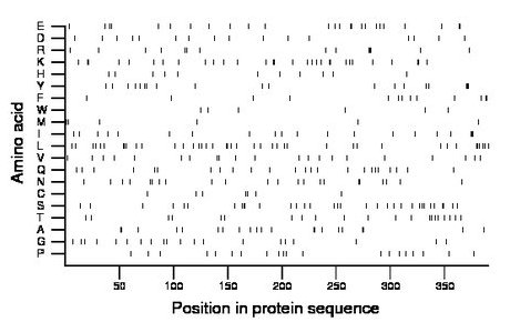 amino acid map