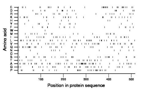 amino acid map