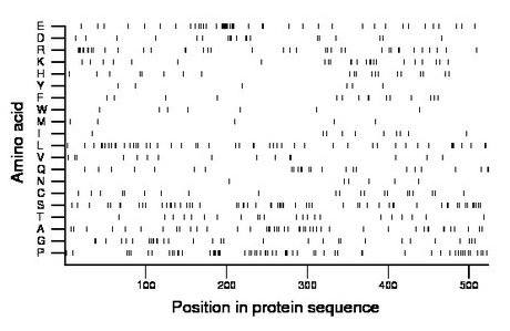 amino acid map