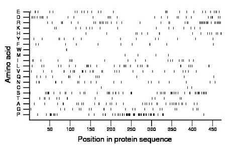 amino acid map