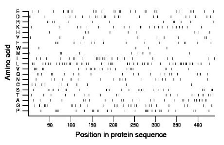 amino acid map