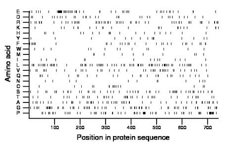 amino acid map