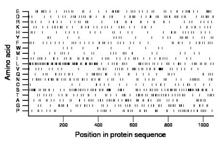 amino acid map