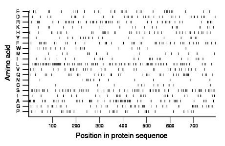 amino acid map