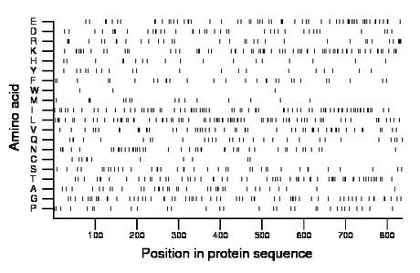 amino acid map