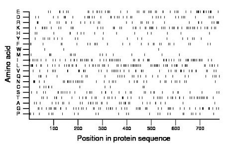 amino acid map