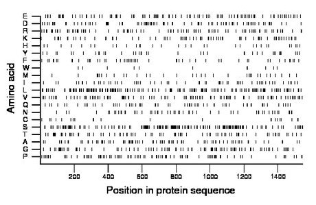 amino acid map