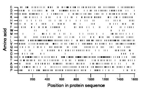 amino acid map