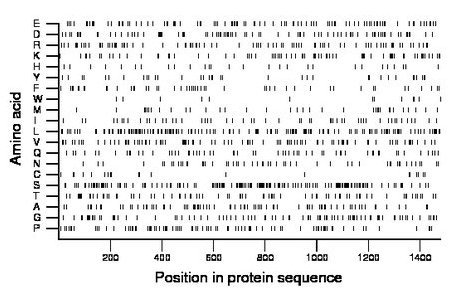 amino acid map