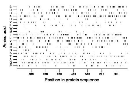 amino acid map