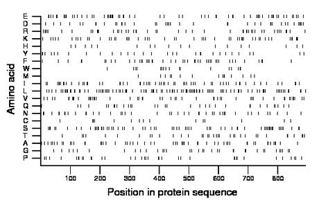 amino acid map