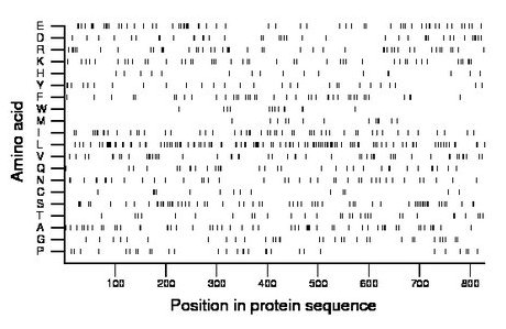 amino acid map