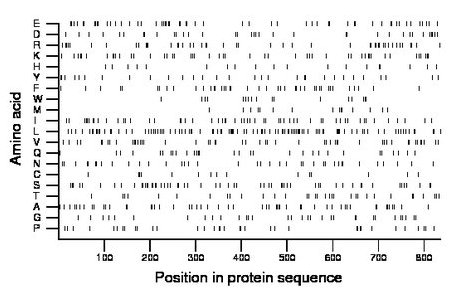 amino acid map