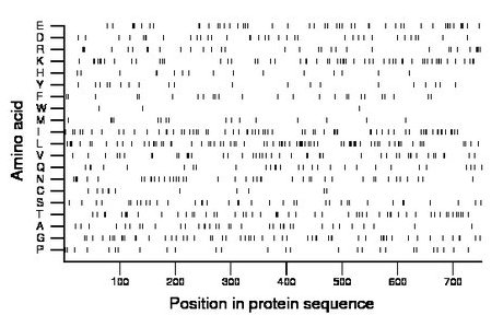 amino acid map