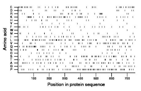 amino acid map