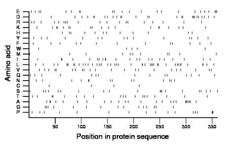 amino acid map