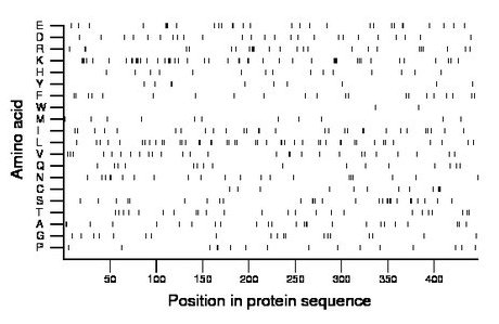 amino acid map