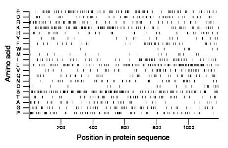 amino acid map