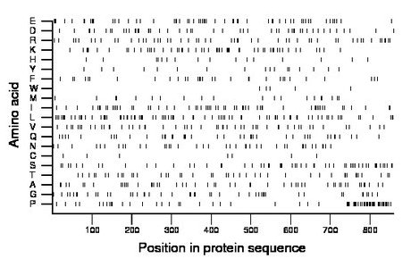 amino acid map