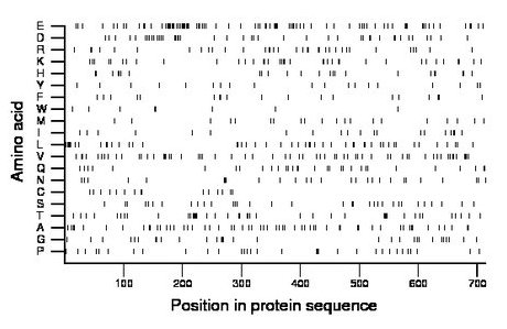 amino acid map