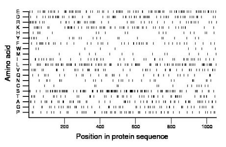 amino acid map