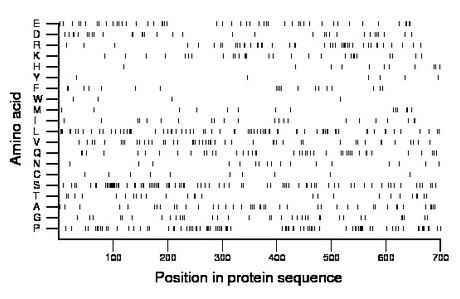 amino acid map