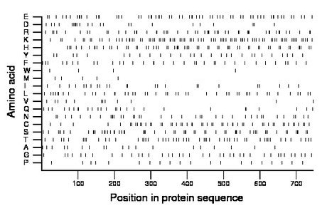 amino acid map