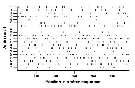 amino acid map