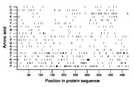 amino acid map