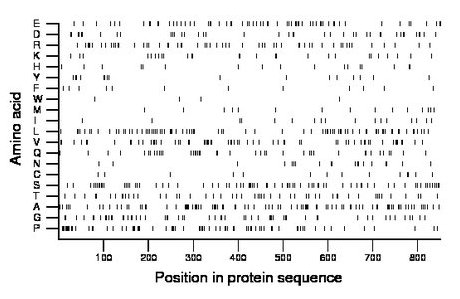 amino acid map