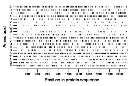 amino acid map