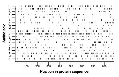 amino acid map