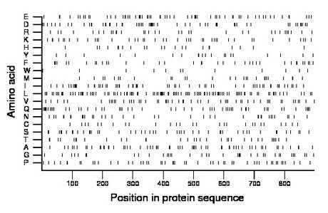 amino acid map