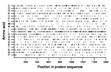 amino acid map