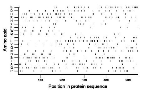 amino acid map