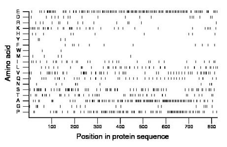 amino acid map