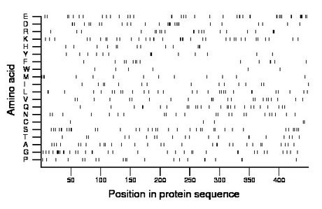 amino acid map