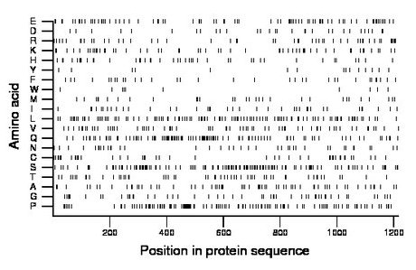 amino acid map