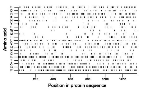 amino acid map