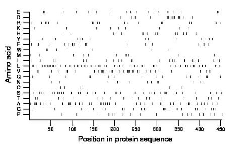 amino acid map