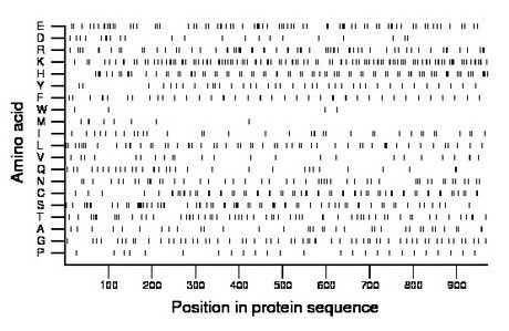 amino acid map