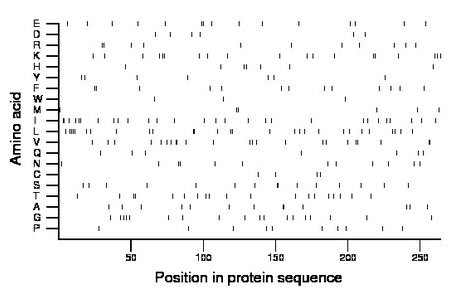 amino acid map